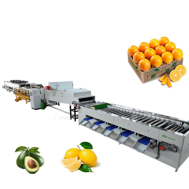 images/1762764580601citrus processing 1.jpg